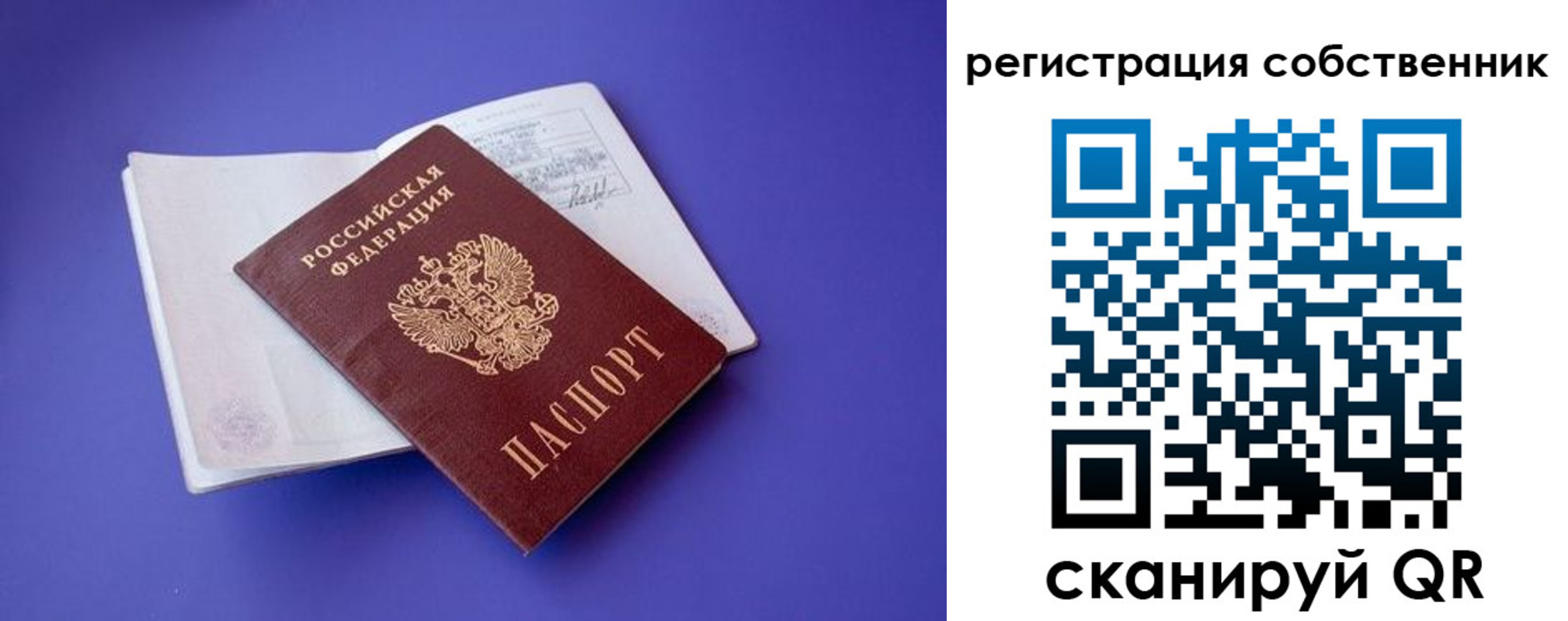 прописка штамп в Вязьме